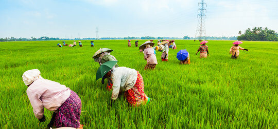 360 f 371780100 wkaxkxsm20fbh5jmdjaefg4ufek4dswa